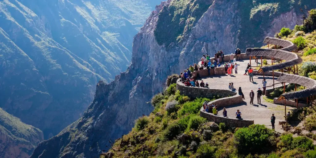 Cañón del Colca: mejor época para ver al cóndor andino