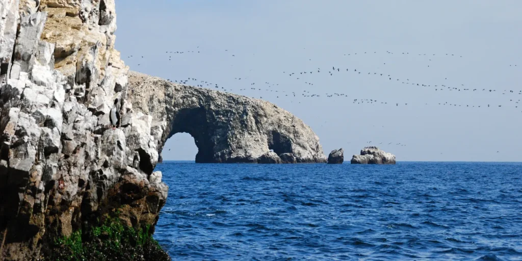 Islas Ballestas con lobos marinos y aves guaneras en la reserva natural de Paracas Peru