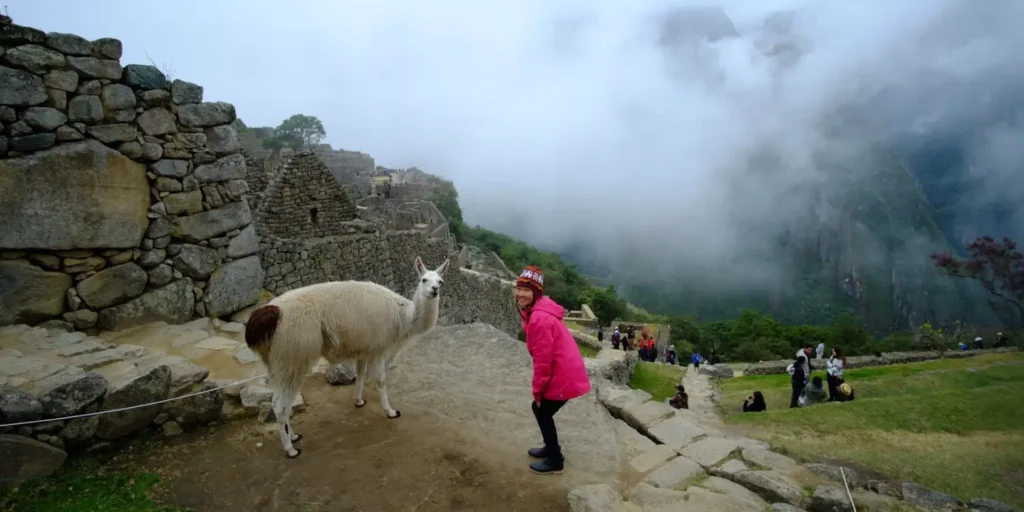 Descubre la Magia de Machu Picchu y sus Curiosos Habitantes
