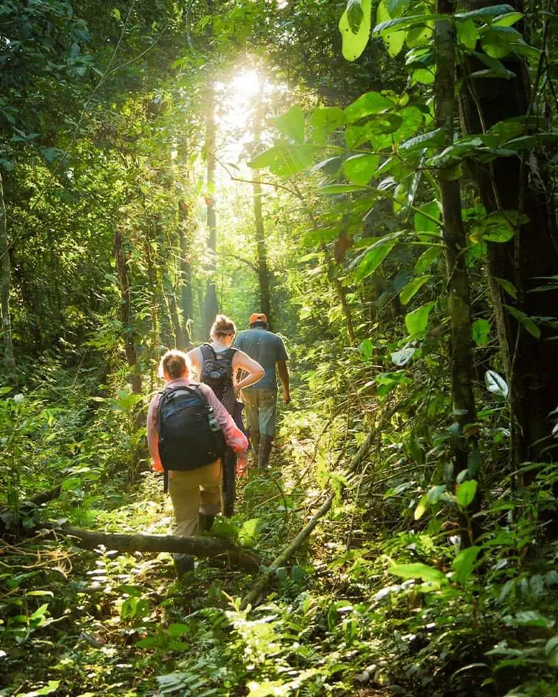 Qué llevar a la selva peruana: checklist para Iquitos, Manu y Tambopata