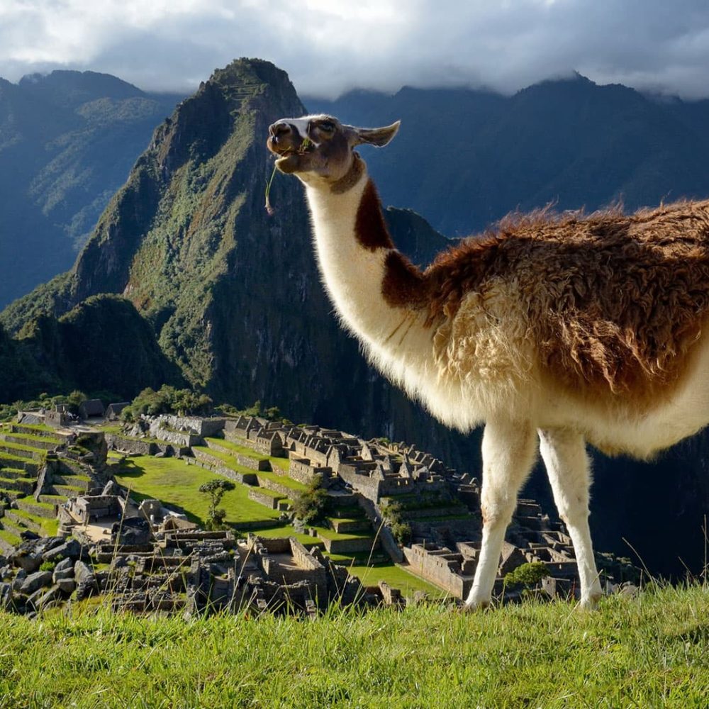 Machupicchu-increible-9-Dias