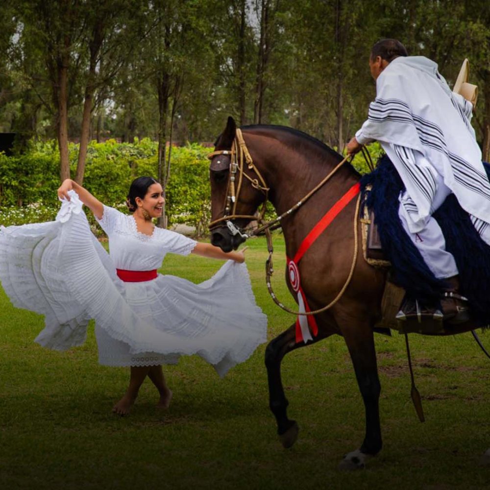 caballo-de-paso-peruano